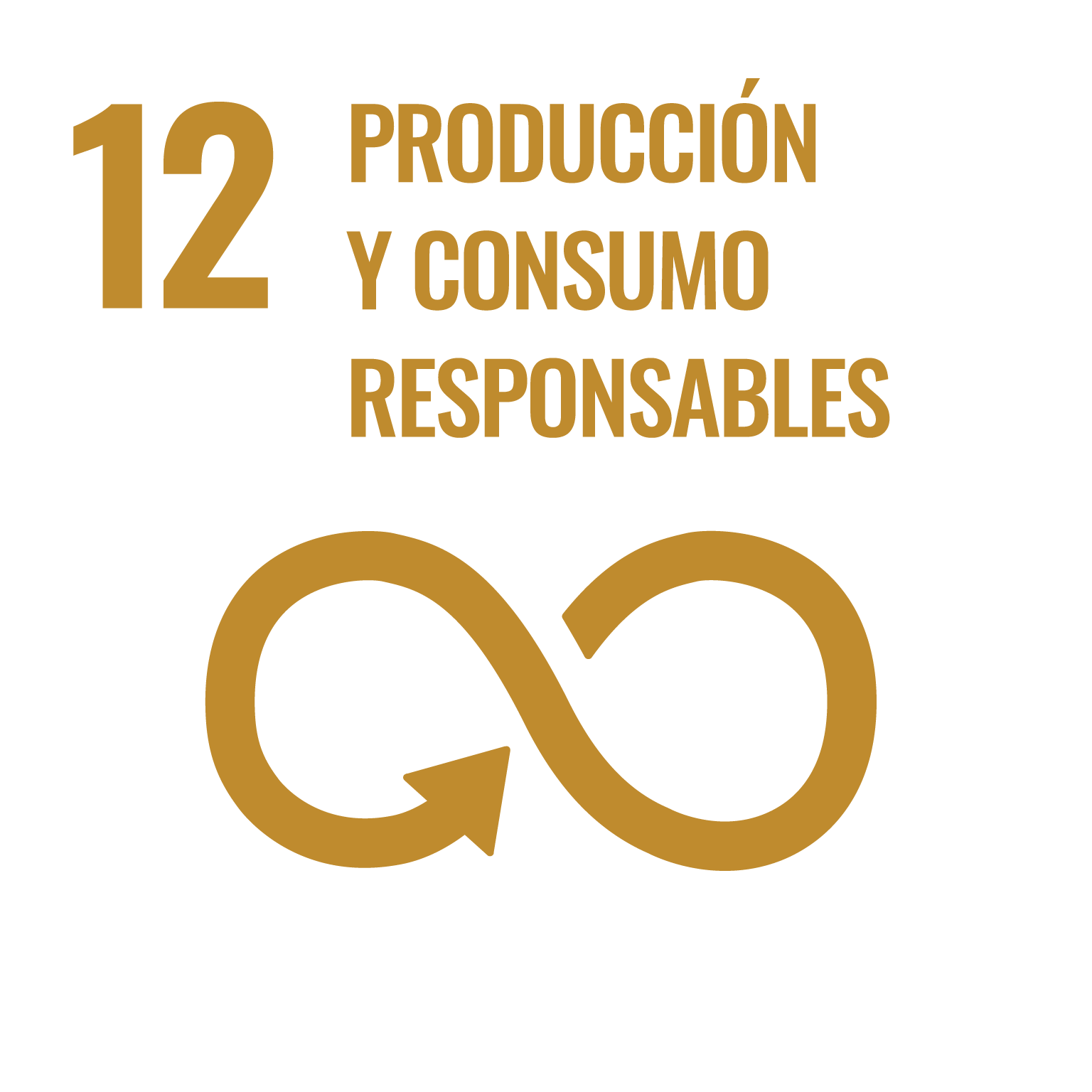 ODS-12 Producción y Consumo Responsables