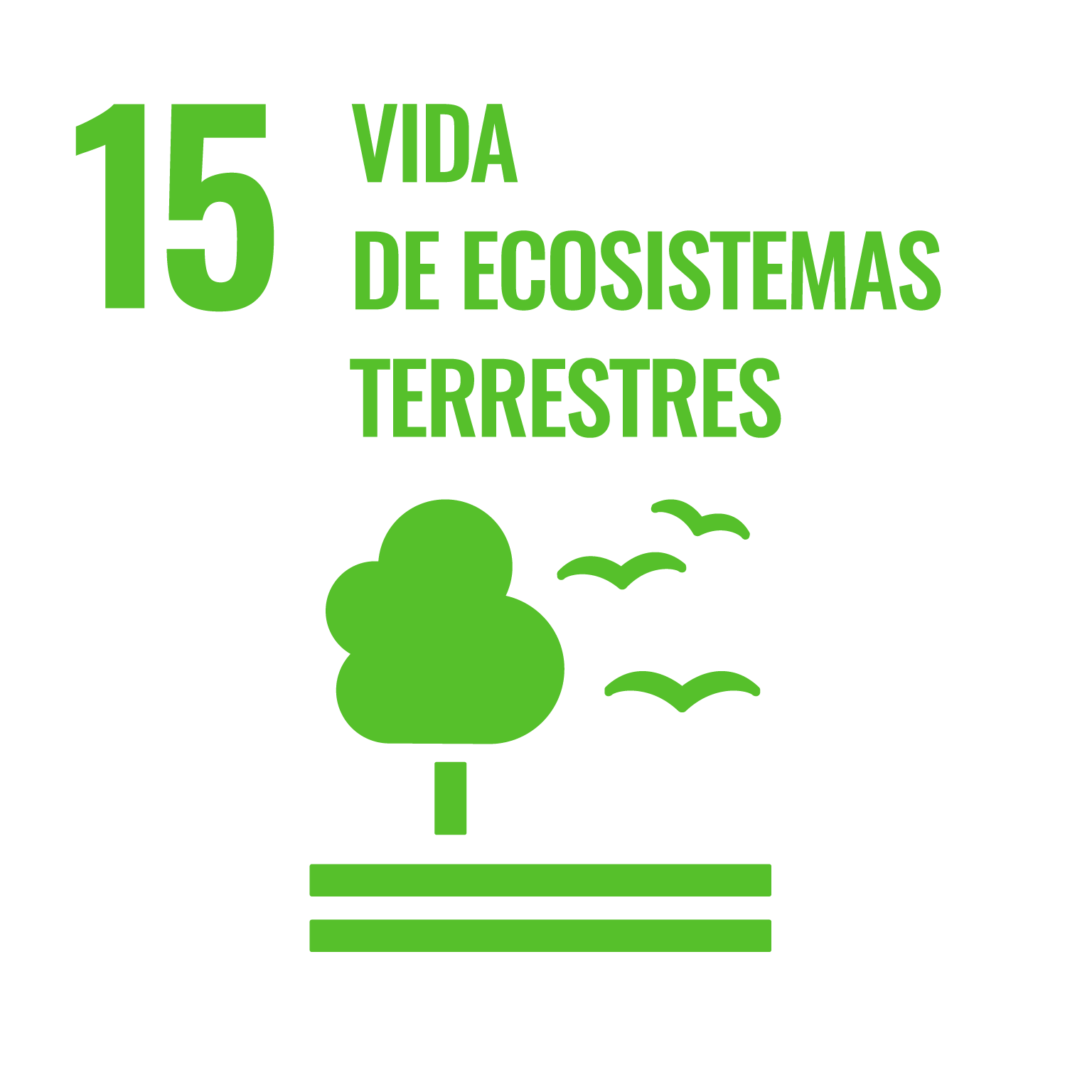 ODS 2030 - Vida de ecosistemas terrestres